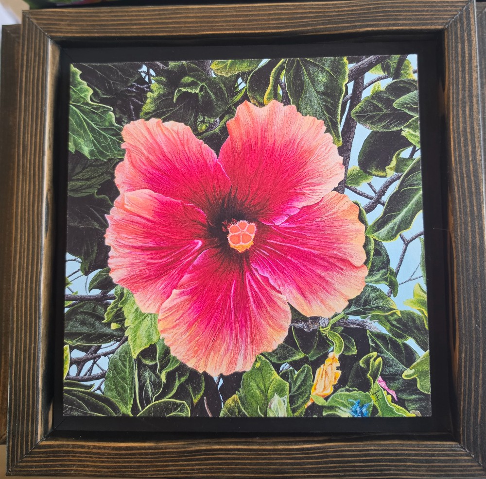 8 x 8 Hibiscus  - Wood Backing
