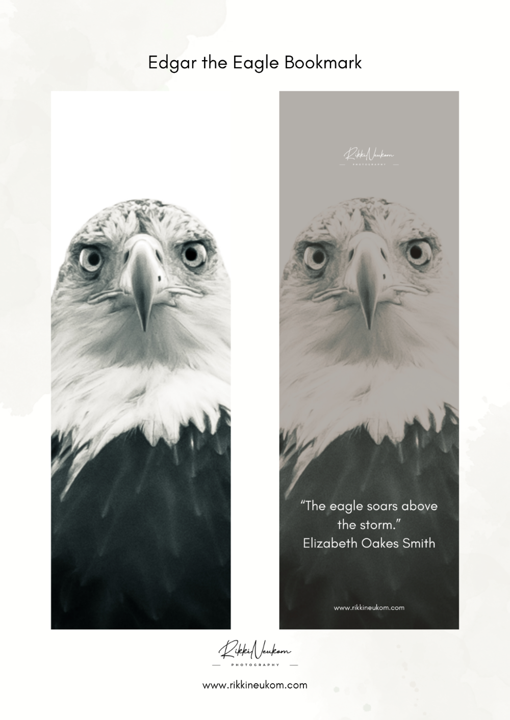 Edgar the Eagle Bookmark