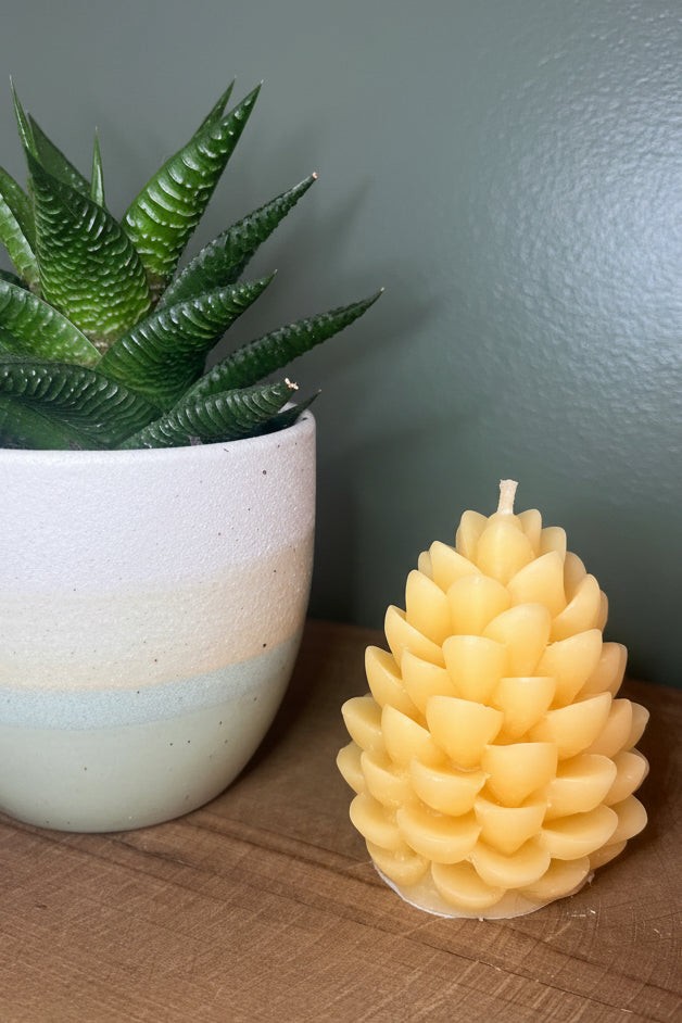 Beeswax Candle