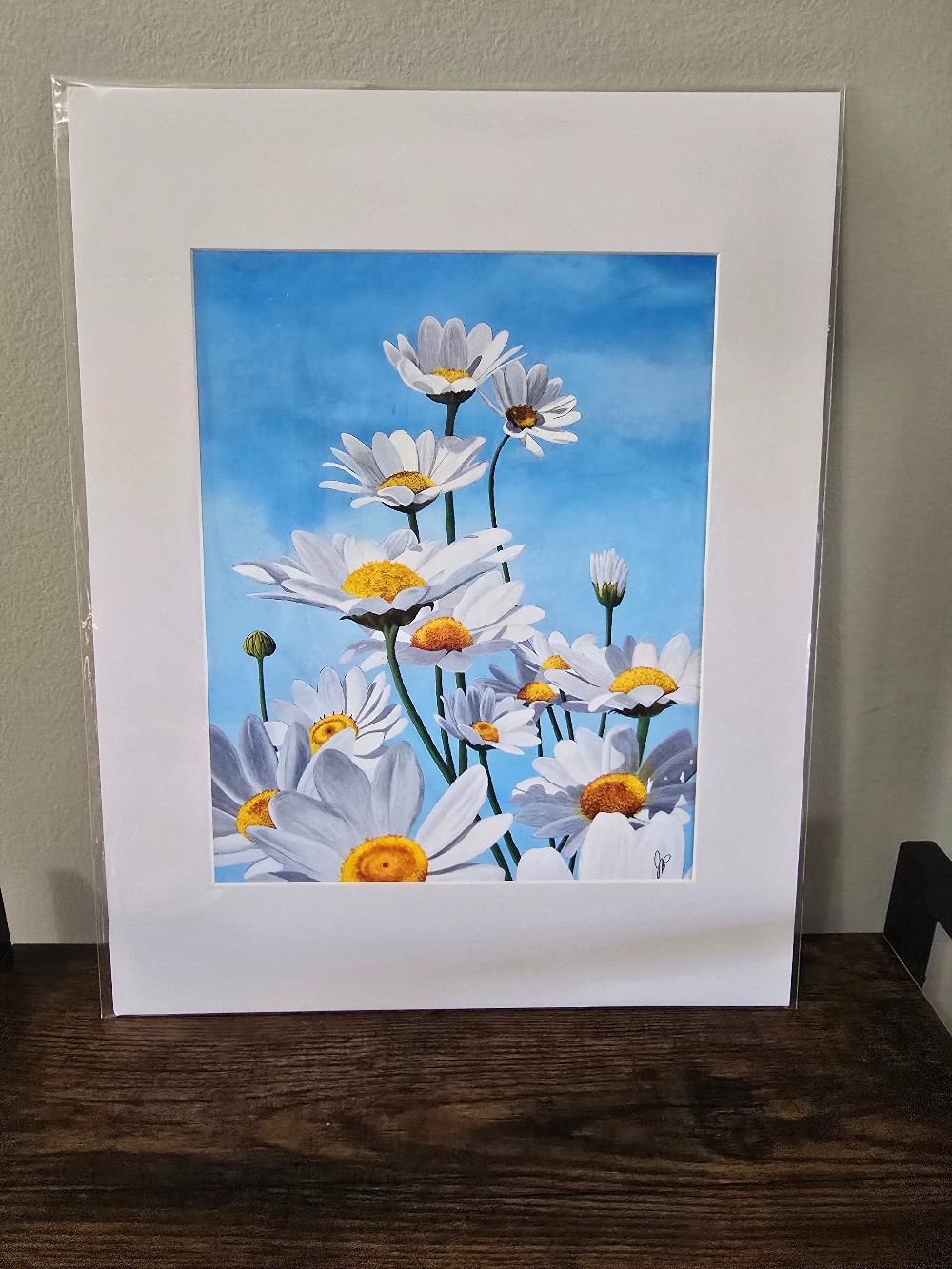 10 x 8 print - Daisies