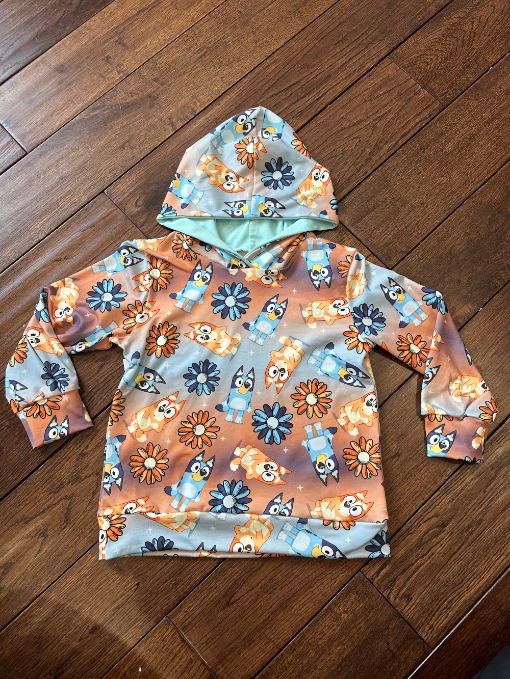 Size: 3T Hooded Pullover Retro Heeler