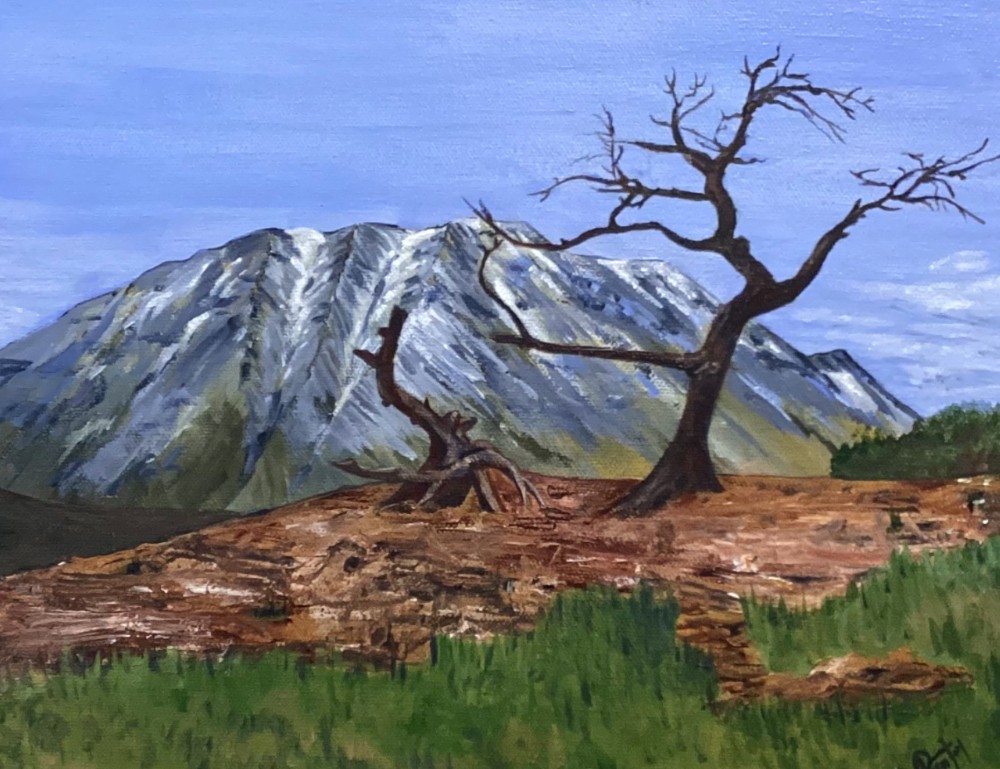 Burmis Tree 11x14