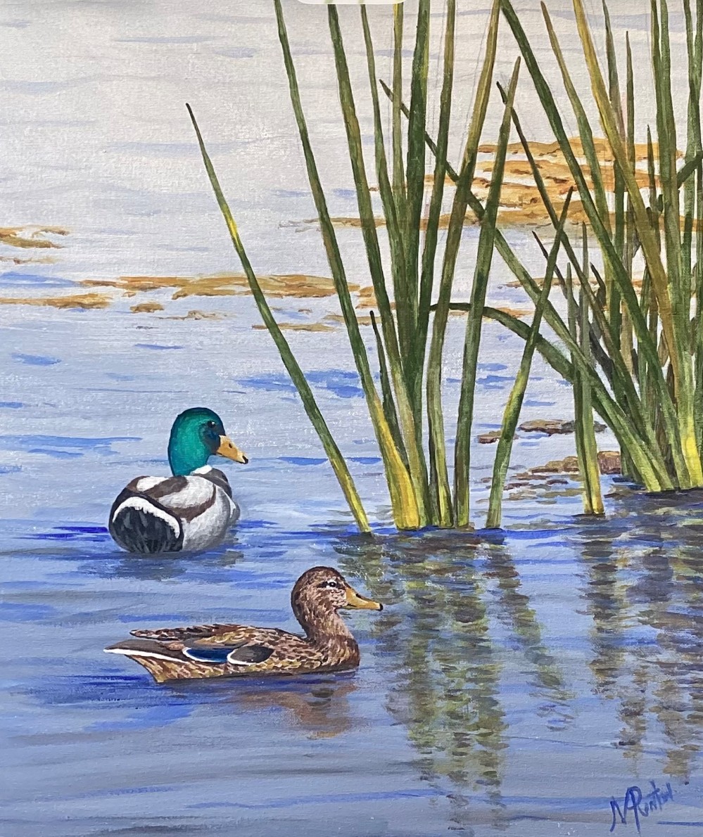 Ducks in a Pond, 16x20