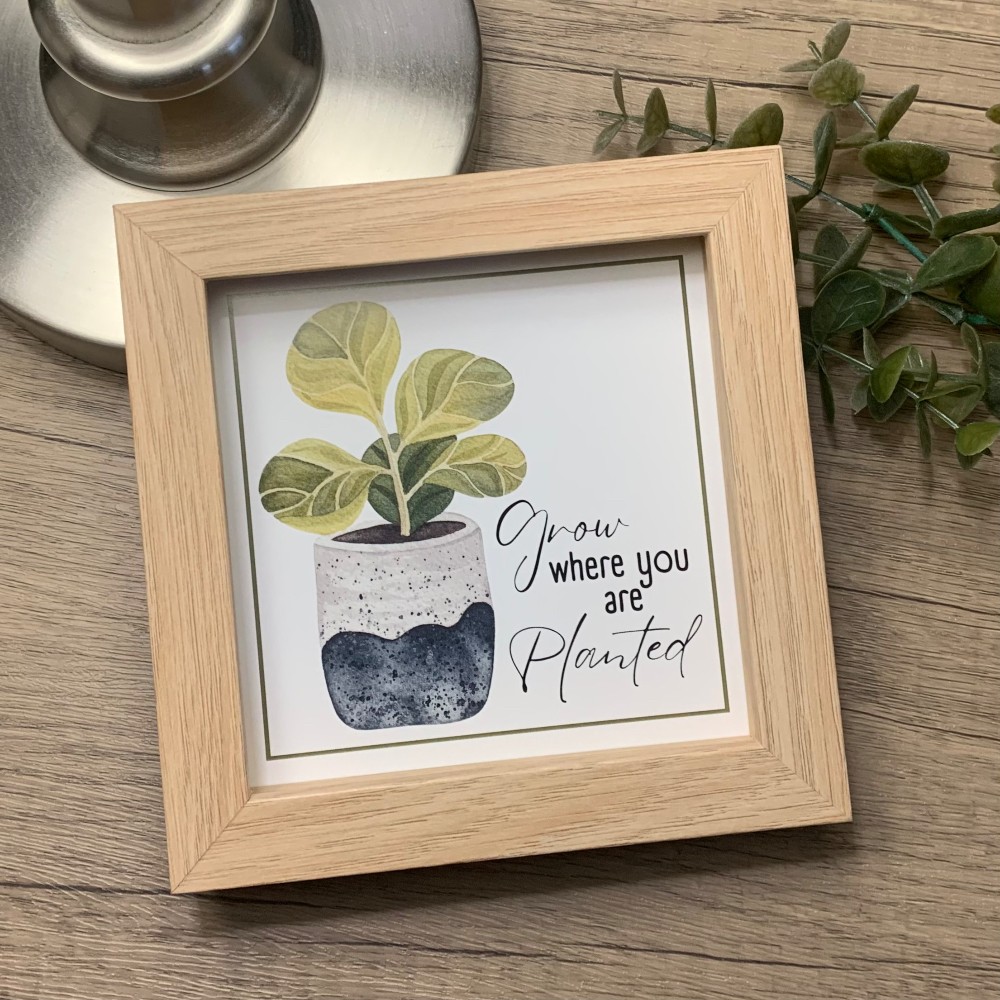 Grow where you are planted, 5”x5” framed print