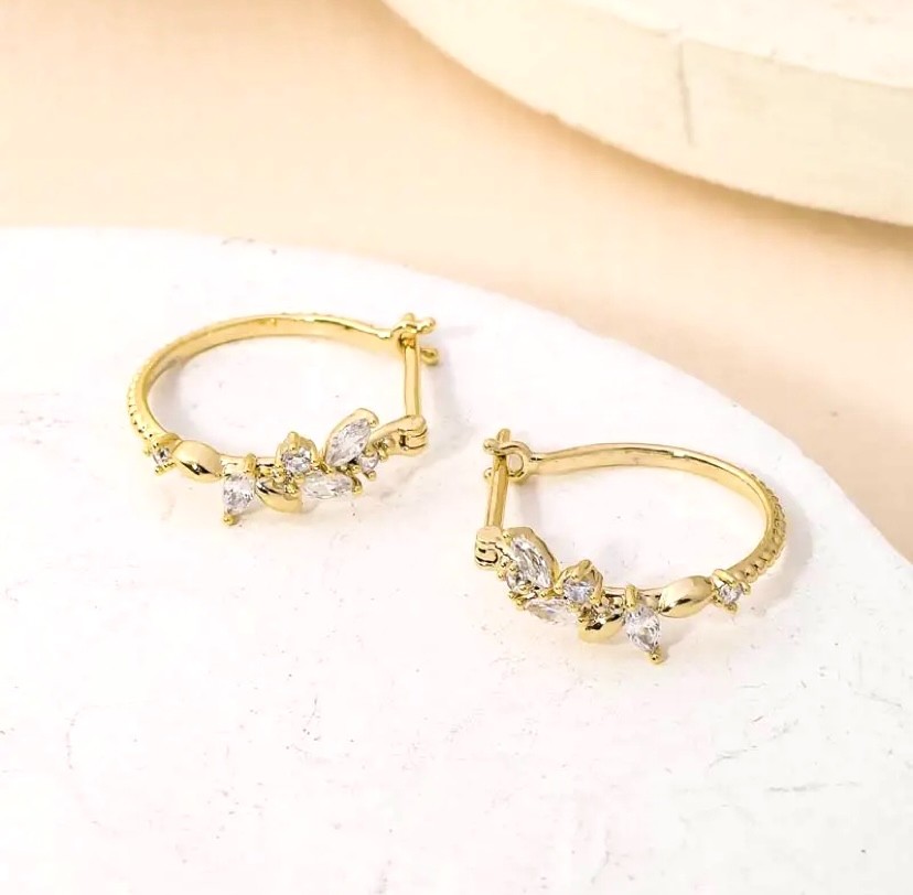 Gold Hoop and Crystal Earrings