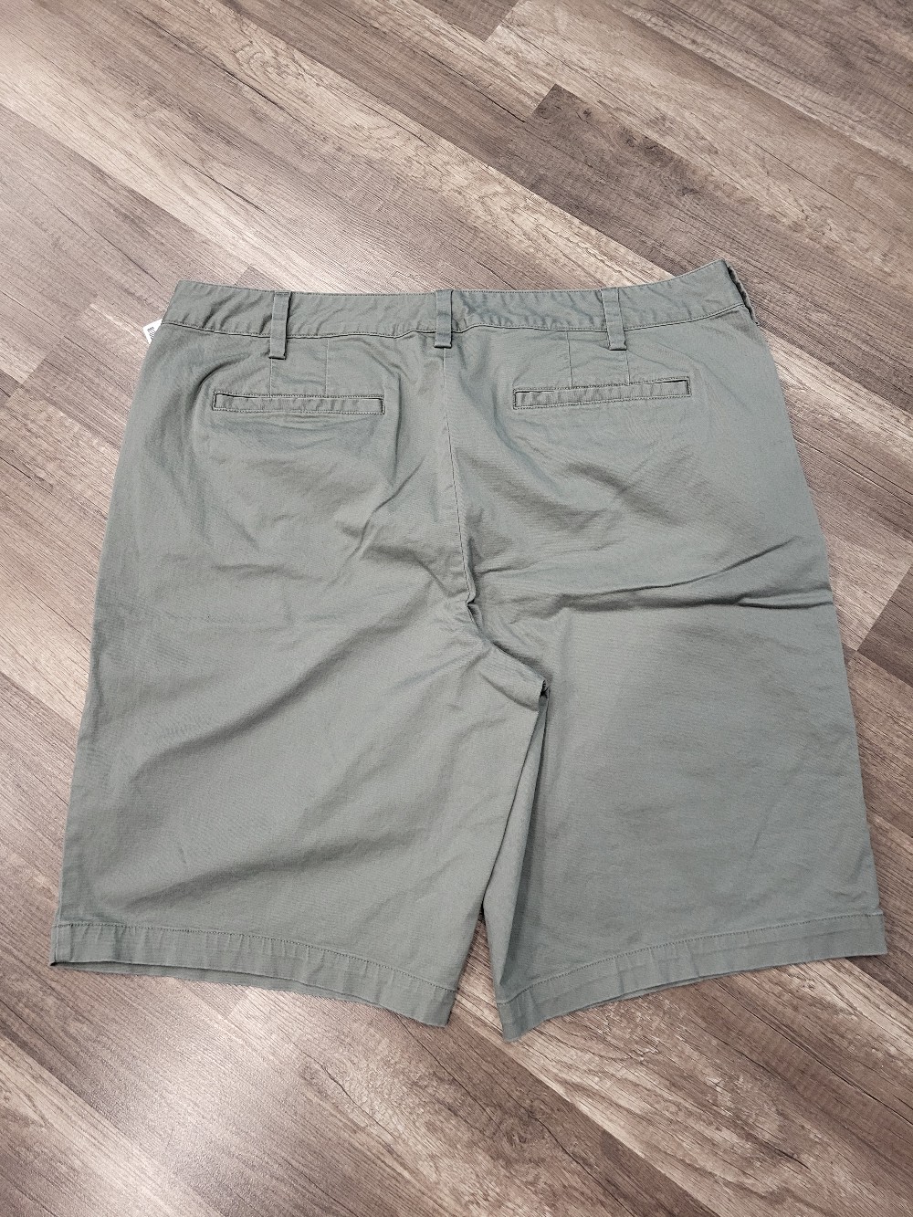 Lands End Shorts