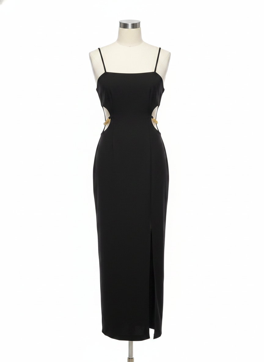 Liv Foster Long Dress, 2 NWT