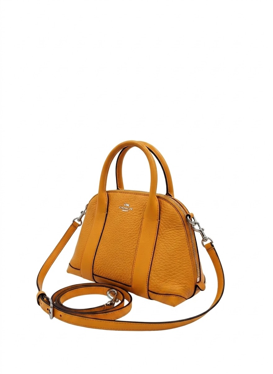 Coach Bleecker Mini Preston Dome Satchel