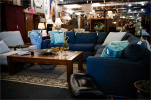Furniture Sofa