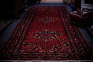 Persian Rug