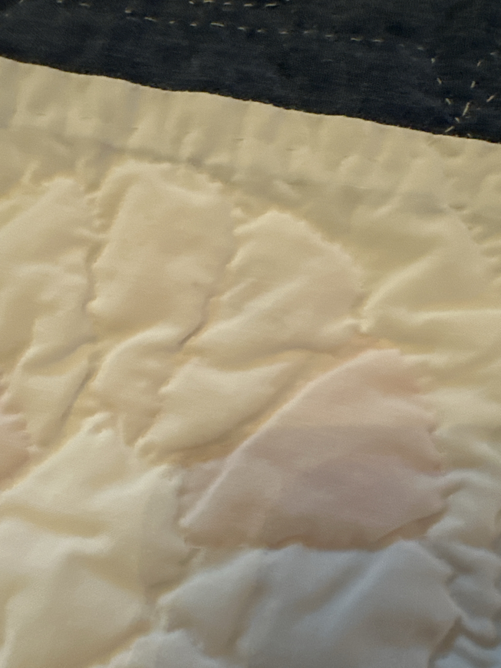 Dresden Plate VTG quilt