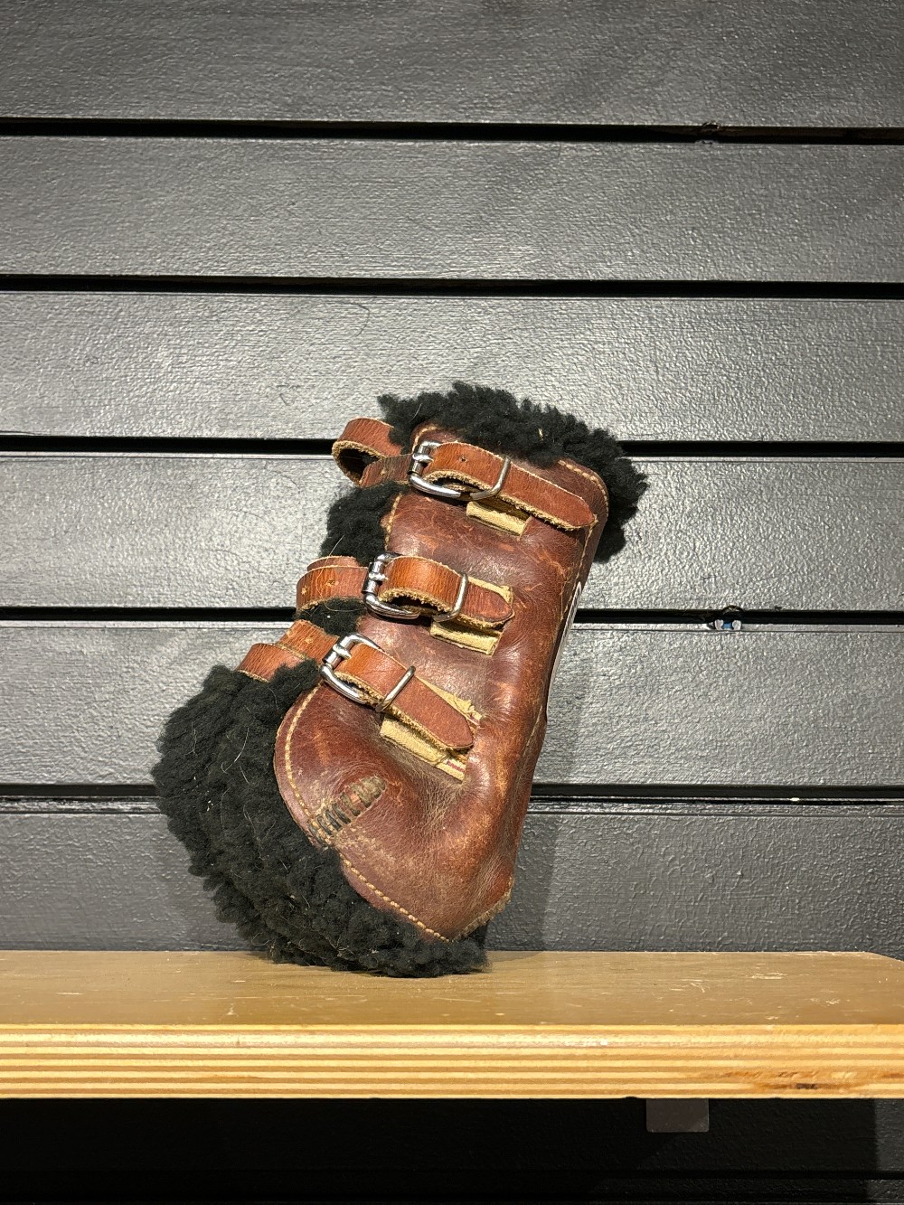 Equine Boots