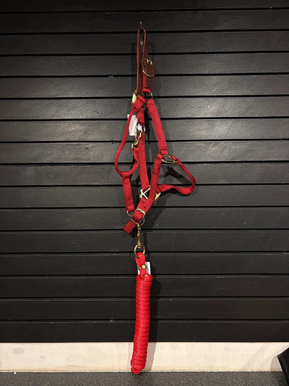 Halters & Leads