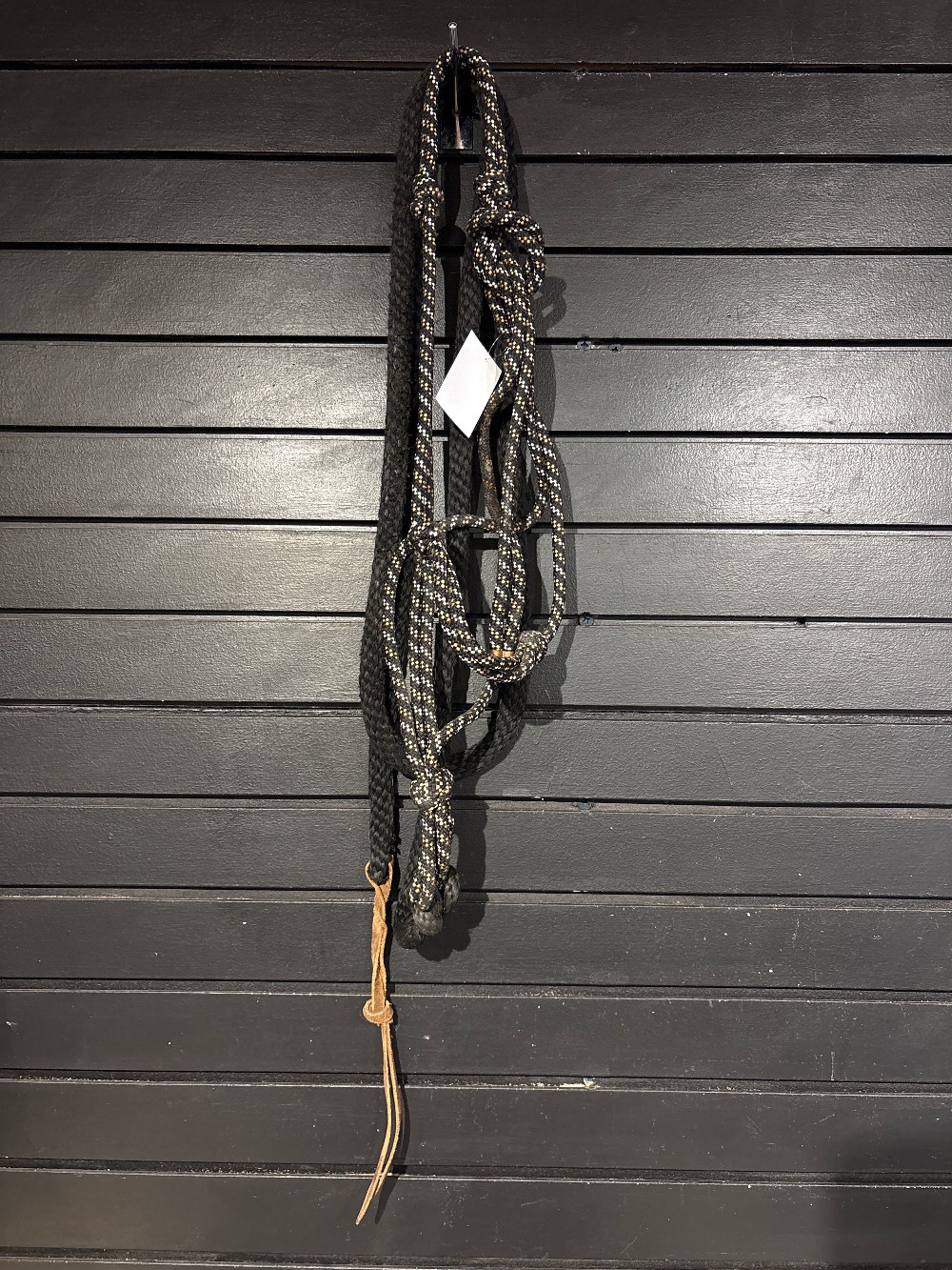 Halters & Leads