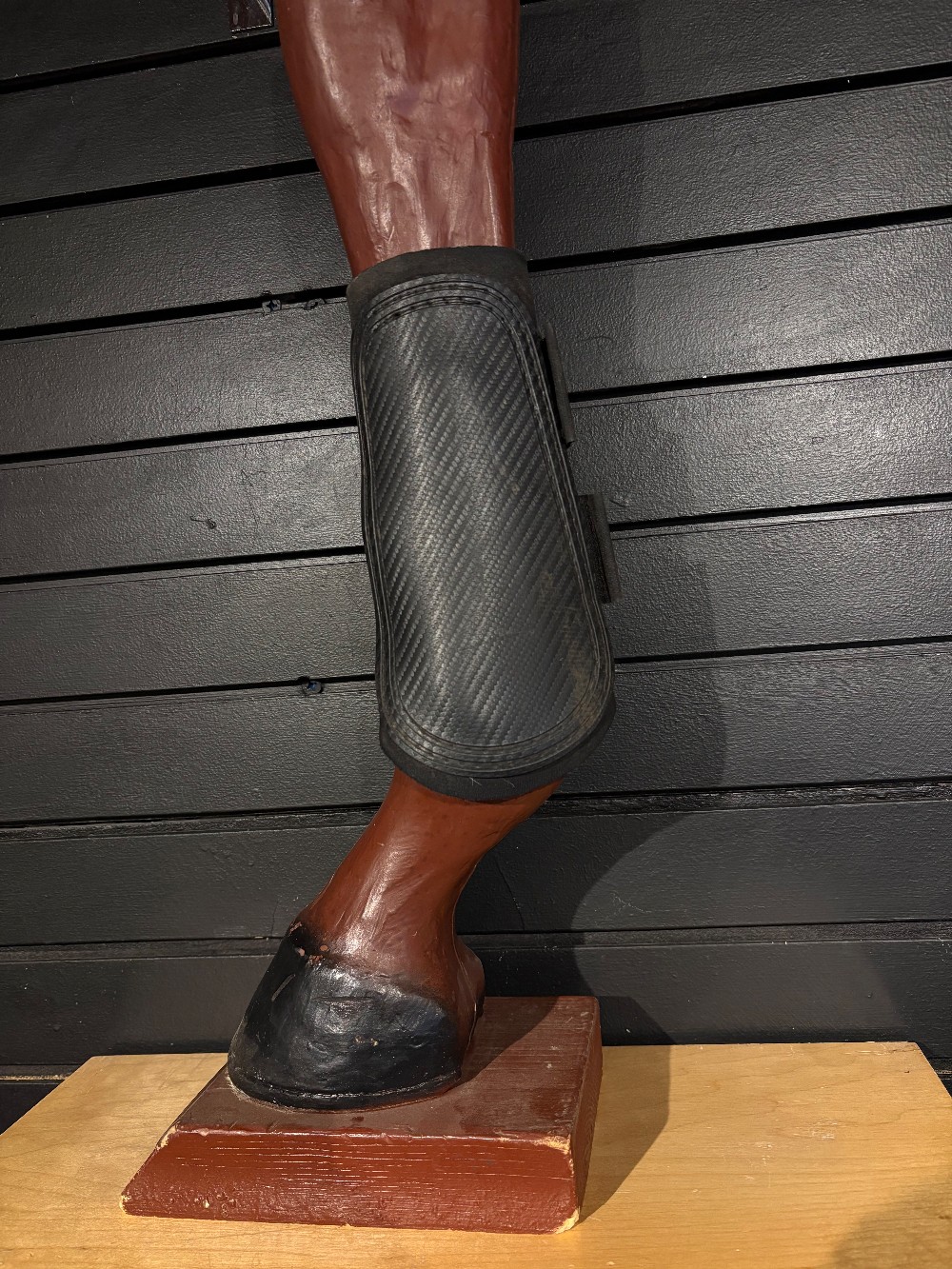 Brushing/Splint Boots