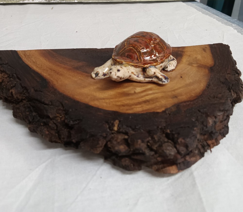 Turtle on Black Walnut